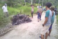 Dua Unit Sepeda Motor dibakar OTK di Lima Laras. (Zulnas)