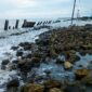 Kondisi jalan pariwisata Desa Bandar Rahmad sudah abrasi dihantam gelombang air laut, kondisi ini, setiap tahun terus meningkat hingga badan jalan tidak bisa dilalui oleh kenderaan. (Zulnas) 