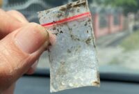 Barang bukti Sabu yang ditemukan Polisi di Plastik transparan dilokasi Desa Indrayaman