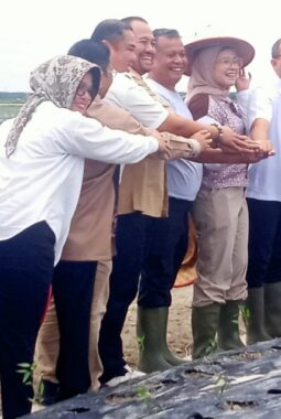 Revolusi Pertanian di Batubara: RPB Cabai Siap Angkat Kesejahteraan Petani Lokal