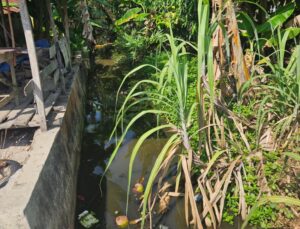 Parit yang sudah lama belum lernah di normalisasi