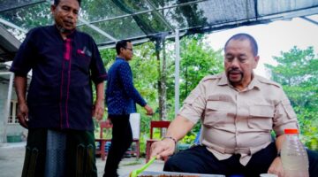 Bupati Batubara Lirik Potensi Aren, 16 Ribu Pohon Akan Ditanam Serentak